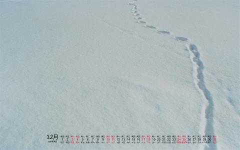 图片 _ 第(4)张