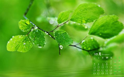 图片 _ 第(1)张