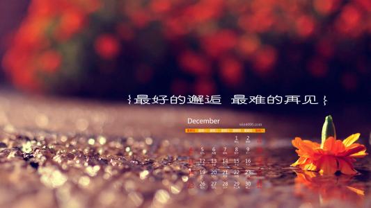 浪漫爱情图片 _ 第(5)张