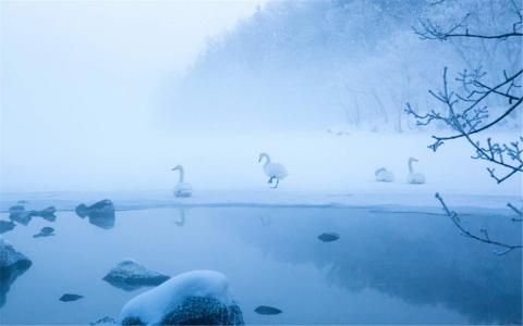 冬日雪景图片 _ 第(3)张