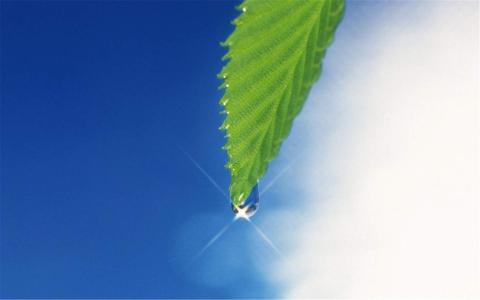 水滴图片 _ 第(2)张