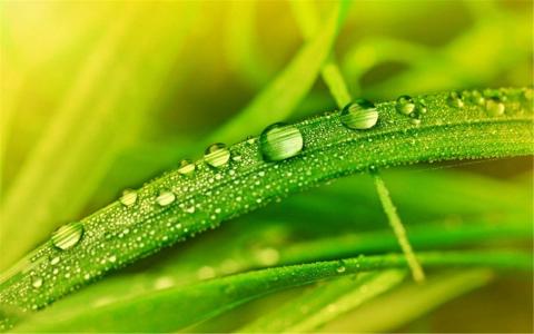 水滴图片 _ 第(3)张