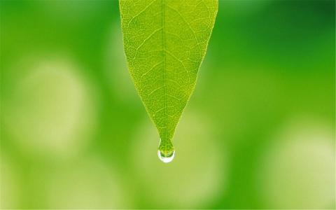 水滴图片 _ 第(10)张