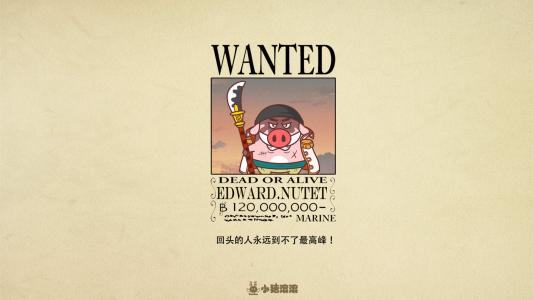 海贼王人物图片 _ 第(1)张