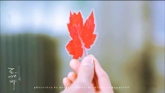 日韩剧照图片 _ 第(2)张