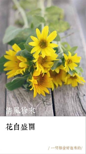 唯美伤感励志的文字图片手机壁纸下载第2张