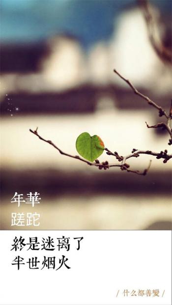 唯美伤感励志的文字图片手机壁纸下载第5张