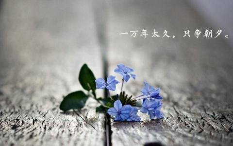 简约抽象设计桌面壁纸第4张