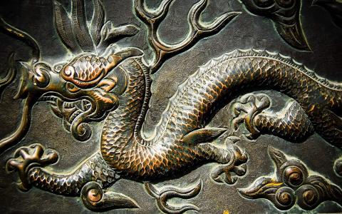 龙图片图片 _ 第(9)张