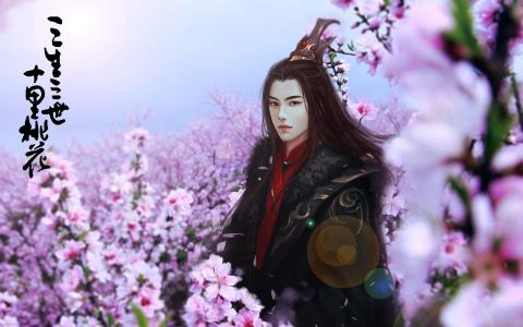 三生三世十里桃花图片 _ 第(4)张