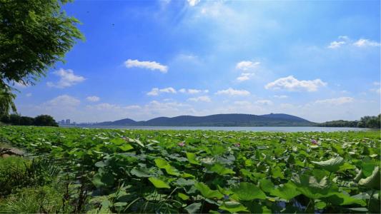 风景壁纸图片 _ 第(11)张