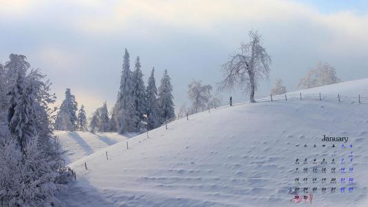 冬日雪景图片 _ 第(4)张