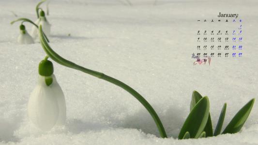 冬日雪景图片 _ 第(5)张