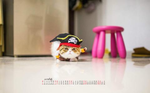 猫桌面图片 _ 第(1)张