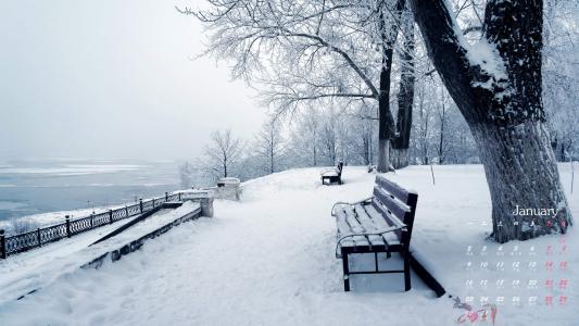 冬日雪景图片 _ 第(5)张