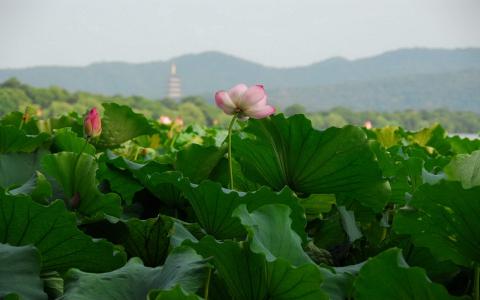 第1张