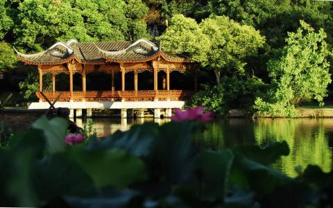 图片 _ 第(5)张