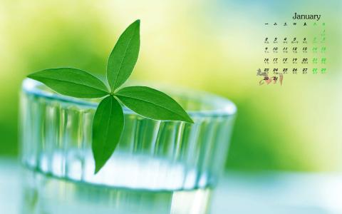 嫩芽图片 _ 第(2)张