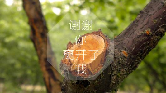 精选唯美伤感文字语录桌面壁纸第3张