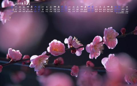 图片 _ 第(3)张