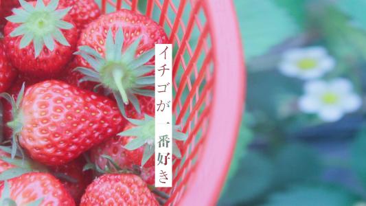 图片 _ 第(4)张