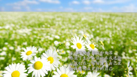 励志桌面图片 _ 第(2)张