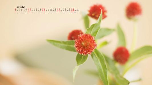 图片 _ 第(9)张