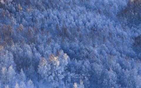 冬日雪景图片 _ 第(7)张