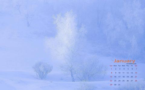 冬日雪景图片 _ 第(5)张