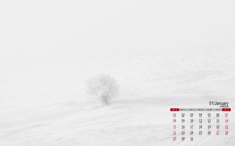 冬日雪景图片 _ 第(6)张