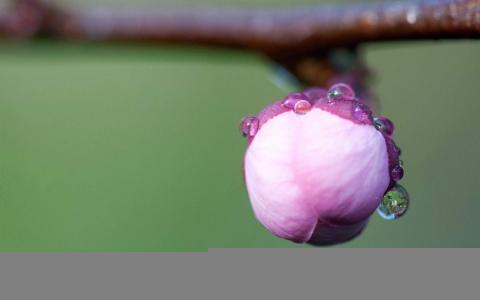 图片 _ 第(1)张 图片 _ 第(1)张