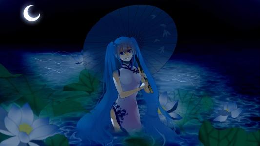 唯美卡通动漫高清初音未来桌面壁纸壁纸第6张