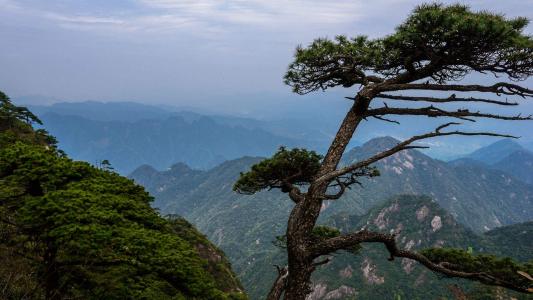 优美风景手机壁纸图片第4张