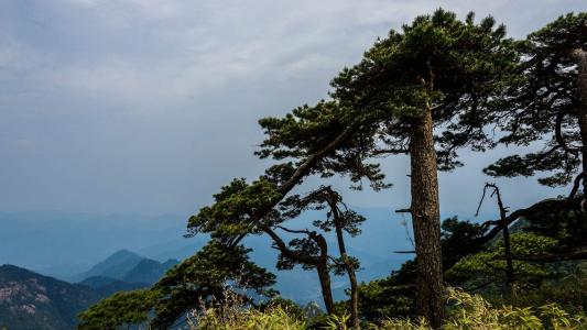 优美风景图片 _ 第(5)张