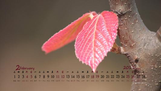 嫩芽图片 _ 第(6)张