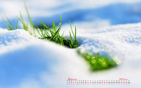 冬日雪景图片 _ 第(2)张
