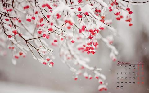 冬日雪景图片 _ 第(3)张