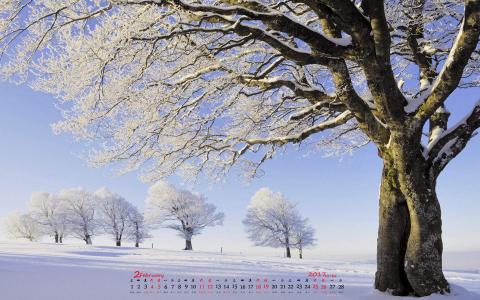 冬日雪景图片 _ 第(7)张