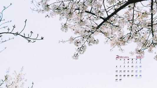图片 _ 第(2)张