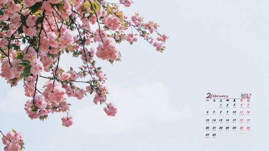 梅花第4张