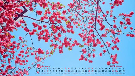 梅花第5张