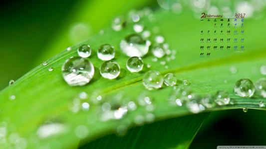 秋天的树叶风景摄影高清宽屏桌面壁纸第3张