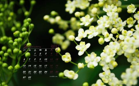 2017年2月春天里的花朵唯美高清桌面日历壁纸第0张