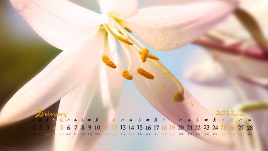 2017年2月春天里的花朵唯美高清桌面日历壁纸第4张
