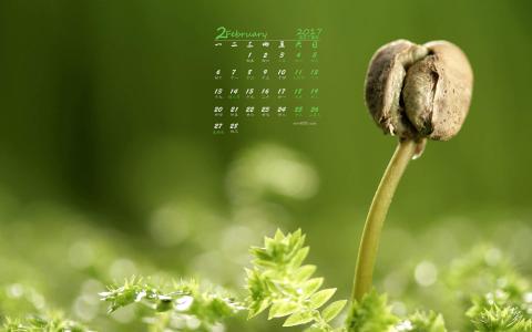 清新护眼绿色嫩芽图片桌面壁纸第4张