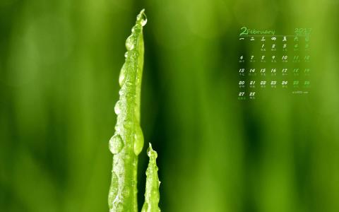 清新护眼绿色嫩芽图片桌面壁纸第6张