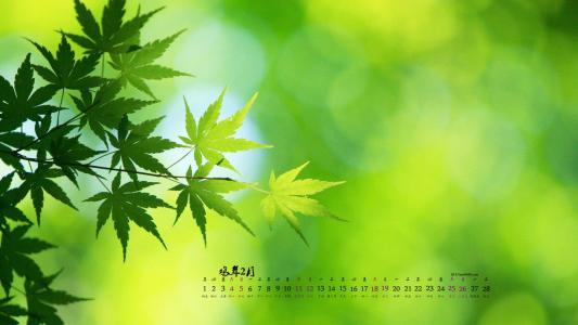 图片 _ 第(3)张