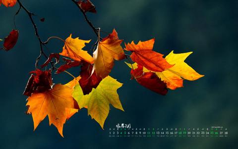 图片 _ 第(4)张