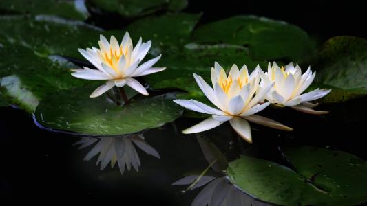 图片 _ 第(1)张