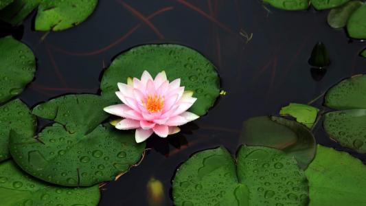 图片 _ 第(10)张